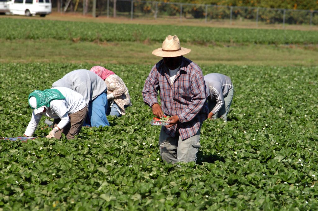 A Pastoral Note to Migrants from the Catholic Bishops in Michigan